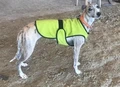 Трехслойная охлаждающая попона DriveDog для собак крупных и очень крупных пород длина спины 72 см PO900_XXL