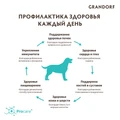 Беззерновой cухой корм GRANDORF для взрослых собак средних и крупных пород с кроликом и индейкой Medium/Maxi Rabbit and Turkey 851065