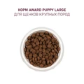 Сухой корм AWARD для щенков от 1 месяца крупных пород с курицей и индейкой с добавлением тыквы и шиповника 7173341