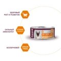 Консервы AWARD для котят, паштет из курицы с морковью Pate Kitten Chicken and Carrot 100 гр 2540447