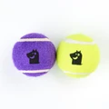 Игрушка для собак Mr.Kranch Теннисный мяч малый набор 2 шт. желтый/фиолетовый MKR000250