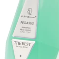 Шампунь Iv San Bernard для длинной шерсти с экстрактом мальвы The Best line Pegasus 550 мл SHAPEG500