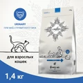 Сухой корм Craftia Galena для кошек для растворения струвитных камней Craftia Galena Cat Urinary Care GAL5427924