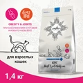 Сухой корм Craftia Galena для кошек для снижения веса и поддержания здоровья суставов Craftia Galena Cat Weight&Joint mobility Сare GAL5427986
