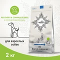 Сухой корм Craftia Galena для собак поддержка в период восстановления и реабилитации Craftia Galena Dog Recovery&Сonvalescence Care GAL5428426