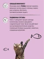 Добавка к основному рациону для собак и кошек Масло дикого лосося Вивидус (VIVIDUS) 00-00001387