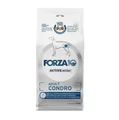 Сухой корм Forza10 Active Adult Condro для взрослых собак всех пород при проблемах опорно-двигательного аппарата 109156