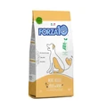 Сухой корм Forza10 Maintenance для взрослых собак мелких пород с курицей и картофелем  Adult Mini Pollo 118002