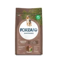 Сухой корм Forza10 Maintenance для взрослых собак средних пород с ягненком и рисом Medium Adult 1120012