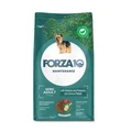 Сухой корм Forza10 Maintenance для взрослых собак мелких пород с олениной и картофелем Mini Adult 117002