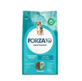 Сухой корм Forza10 Maintenance для взрослых собак средних пород с морской рыбой Medium Pesce 106012