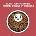 Сухой корм BOWL WOW для взрослых собак средних пород с индейкой, курицей, рисом и свеклой 34200025