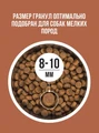 Сухой корм BOWL WOW для взрослых собак мелких пород с ягненком, индейкой, рисом и тыквой 34200079