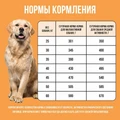 Сухой корм BOWL WOW для взрослых собак крупных пород с индейкой, курицей, рисом и тыквой 34200029