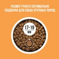 Сухой корм BOWL WOW для взрослых собак крупных пород с индейкой, курицей, рисом и тыквой 34200029