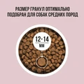 Сухой корм BOWL WOW для взрослых собак средних пород с индейкой, рисом и яблоком 34200021