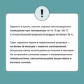 Сухой корм BOWL WOW для взрослых собак мелких пород с индейкой, рисом и розмарином 34200017