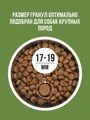 Сухой корм BOWL WOW для взрослых собак крупных пород с ягненком, индейкой, рисом и цукини 34200100