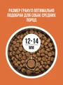 Сухой корм BOWL WOW для взрослых собак средних пород с ягненком, индейкой, рисом и морковью 34200072