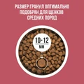 Сухой корм BOWL WOW для щенков средних пород с индейкой, рисом и клюквой 34200005