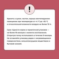 Сухой корм BOWL WOW для щенков средних пород с индейкой, рисом и клюквой 34200005