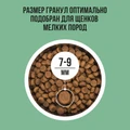 Сухой корм BOWL WOW для щенков мелких пород с индейкой, рисом и шпинатом 34200001