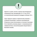 Сухой корм BOWL WOW для щенков мелких пород с индейкой, рисом и шпинатом 34200001