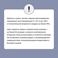 Сухой корм BOWL WOW для котят с индейкой, курицей и черникой 34100013