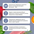 Сухой корм BOWL WOW для котят с индейкой, курицей и черникой 34100013