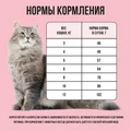 Сухой корм BOWL WOW для взрослых кошек с индейкой, курицей и яблоком 34100001