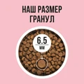 Сухой корм BOWL WOW для взрослых кошек с индейкой, курицей и яблоком 34100001