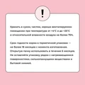 Сухой корм BOWL WOW для взрослых кошек с индейкой, курицей и яблоком 34100001
