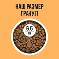 Сухой корм BOWL WOW для взрослых кошек с чувствительным пищеварением с индейкой, курицей и тыквой 34100009