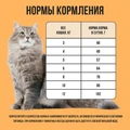 Сухой корм BOWL WOW для взрослых кошек с чувствительным пищеварением с индейкой, курицей и тыквой 34100009