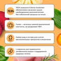 Сухой корм BOWL WOW для взрослых кошек с чувствительным пищеварением с индейкой, курицей и тыквой 34100009