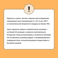 Сухой корм BOWL WOW для взрослых кошек с чувствительным пищеварением с индейкой, курицей и тыквой 34100009