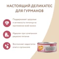 Консервы Мнямс для кошек с индейкой и тыквой Паштет по-оксфордски 176670