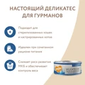 Консервы Мнямс для стерилизованных кошек с лососем и яблоком Паштет по-норвежски 176694