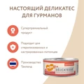 Консервы Мнямс для кошек Курица с Лососем в нежном желе 700804/7176090