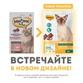 Лакомство для кошек Мнямс хрустящие подушечки Здоровая кожа и шерсть с птицей и говядиной 707940