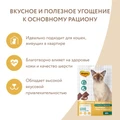 Лакомство для кошек Мнямс хрустящие подушечки Здоровая кожа и шерсть с птицей и говядиной 707940