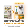 Лакомство для кошек Мнямс хрустящие подушечки Здоровье и активность с курицей и сыром 700019