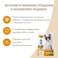 Лакомство для кошек Мнямс хрустящие подушечки Здоровье и активность с курицей и сыром 700019