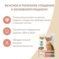 Лакомство для кошек Мнямс хрустящие подушечки Здоровье и красота с лососем 700026