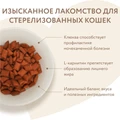 Лакомство для стерилизованных кошек Мнямс хрустящие подушечки Профилактика МКБ с цыпленком и клюквой 706271