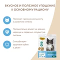 Лакомство для котят Мнямс хрустящие подушечки Здоровый котенок с цыпленком и молоком 706646
