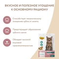 Лакомство для кошек Мнямс хрустящие подушечки Здоровые зубы 707957