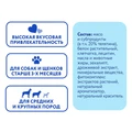 Лакомство для чистки зубов для собак средних и крупных пород Мнямс DENTAL "Зубные спонжи" с эвкалиптом 170616
