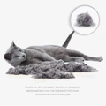FURminator S для маленьких кошек (до 4.5 кг) с короткой шерстью ширина рабочей поверхности 39 см (FUR Cat Undercoat S Short Hair) 151265