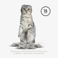 FURminator M/L для кошек весом больше 4,5 кг с короткой шерстью ширина рабочей поверхности 62 мм (FUR Cat Undercoat M/L Short Hair) 151326